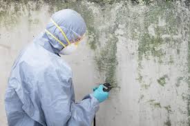 Why You Should Choose Our Mold Remediation Services in Renovo, PA